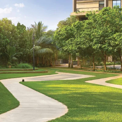 Tree-lined paths